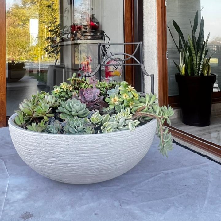 Modelo Bowl