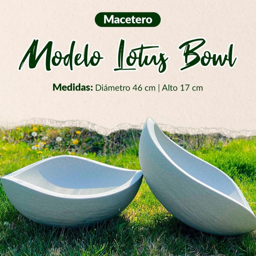 Macetero Lotus Bowl